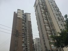 花香龙都3室1厅东南