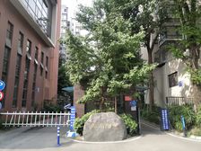 锦尚阳光4室2厅西南