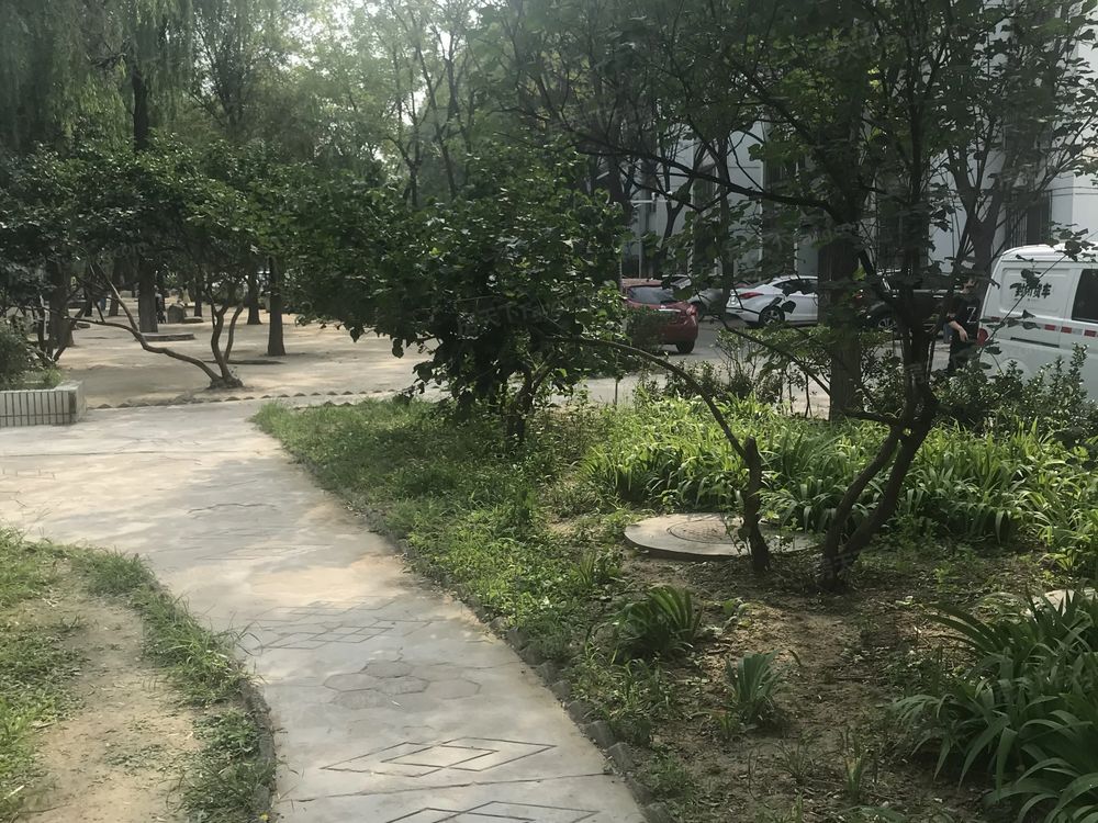 小区相关图