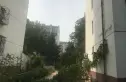 西湖新村实景图