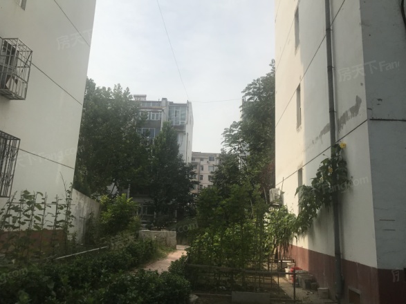 西湖新村实景图