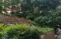 城南新贵实景图