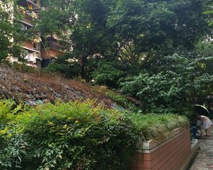 城南新贵3室2厅东南