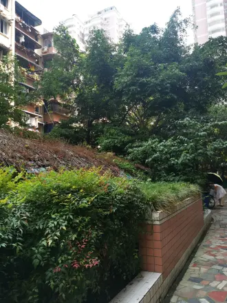 城南新贵实景图