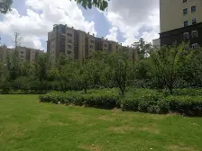 蓝光底复带花园毛坯业主诚心出售