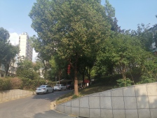 鼎基丽湾域纯边户上叠 清水毛坯 环境优雅 看房方便诚心出售