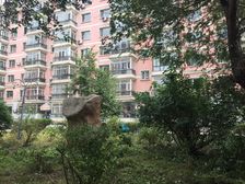 顾乡凯德 祥泰人家 精装修 拎包入住 采光好