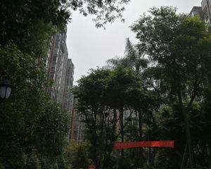 锦丽华庭 1室1厅 南 北