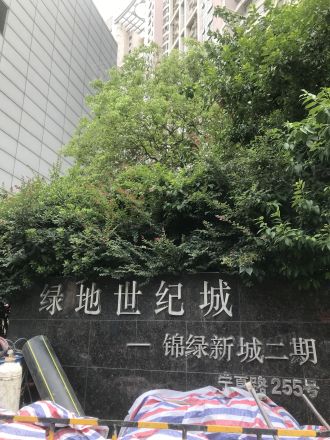 锦绿新城二期实景图