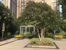 满五唯一,2024年精装修,小区环境优美,人车分流