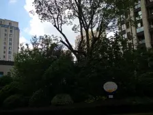 带露台,交通便利,景观房,简约风格,诚意出售,南北通透,联排别墅