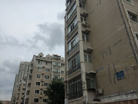 新天地家园实景图