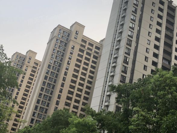 万科梦想派实景图