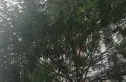 优筑实景图