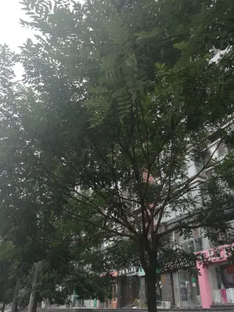 优筑实景图