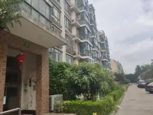 金桥南北两房NO.一!近地铁!采光好, 通风好!