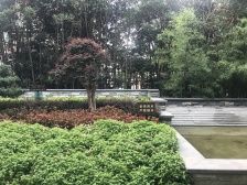 超正气正规三房,近宝龙,领展广场,双轨环绕出行方便