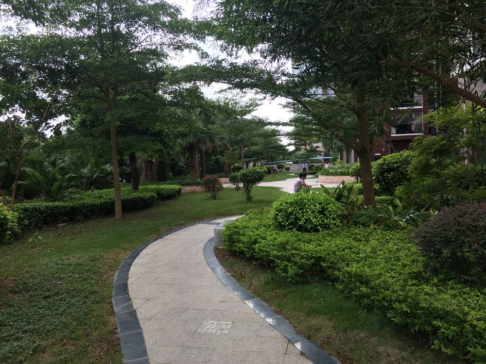 小区相关图