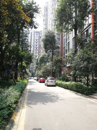 锦丽华庭实景图