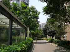 文星花园3室2厅南北