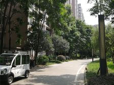 文星花园3室2厅东西