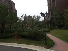 保利海上五月花百合园 4室2厅 南 北