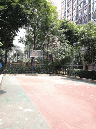 锦丽华庭实景图