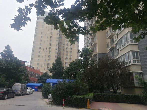 银色星座实景图