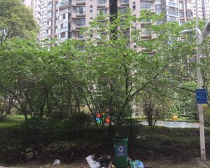 世纪城临江苑3室2厅南北