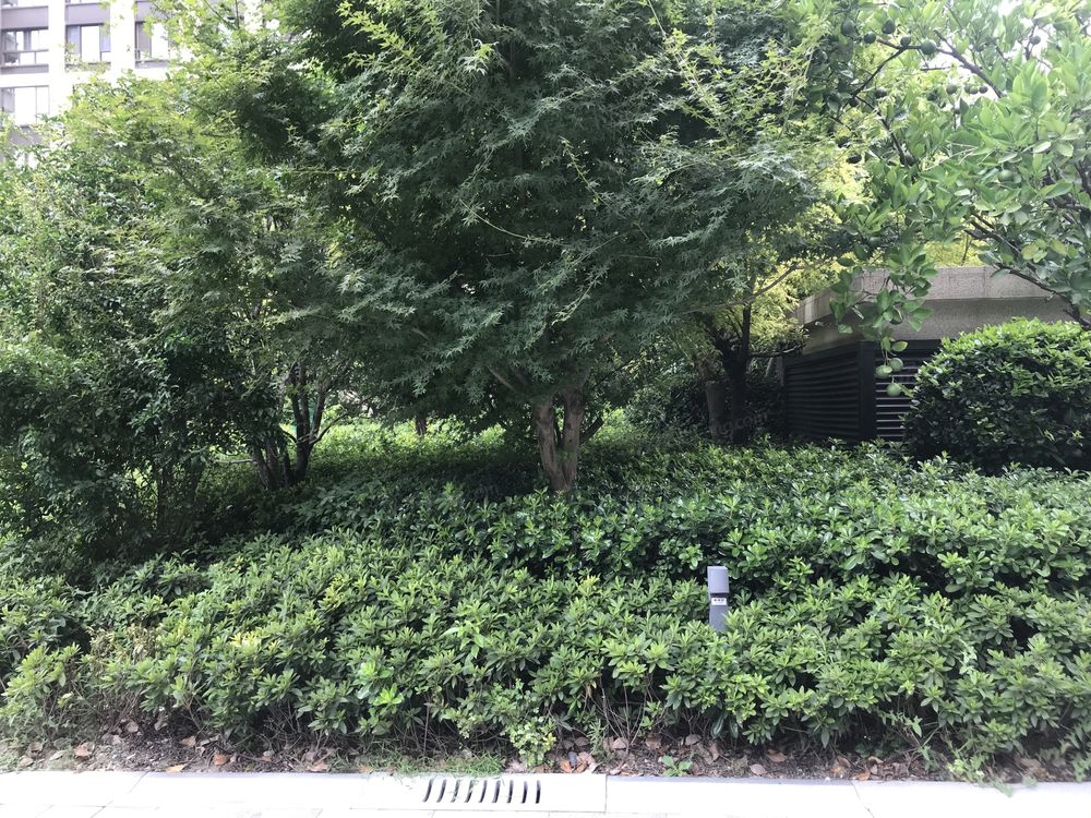 小区相关图