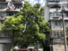 满五+南北户型+低楼层+双地铁+成熟商圈