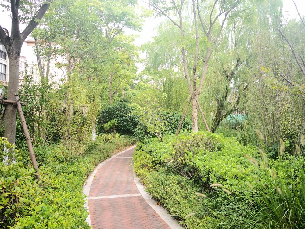 小区相关图