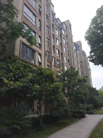 象屿鼎城实景图