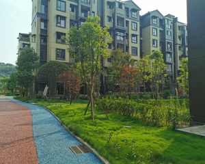 地段较好,交通便捷,绿化面积高