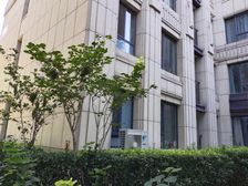 蓝爵公馆太平庄东里精装三居室,电梯房,满五年唯一