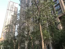 精装修双气,小区中间,人车分流,户型方正,拎包入住