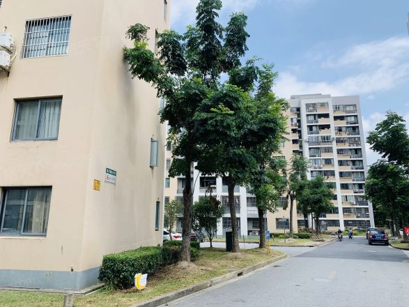清风雅苑实景图