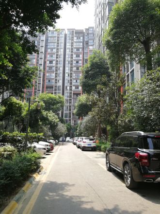 锦丽华庭实景图