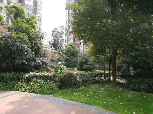 润茂丽景苑实景图