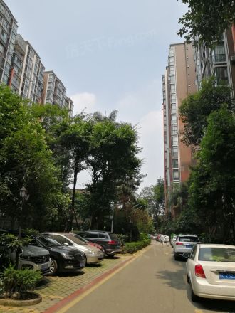 锦丽华庭实景图