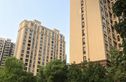 信达蓝爵实景图