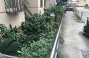 凌兆七村实景图
