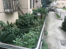 三房全明户型,低楼层采光好,精装修