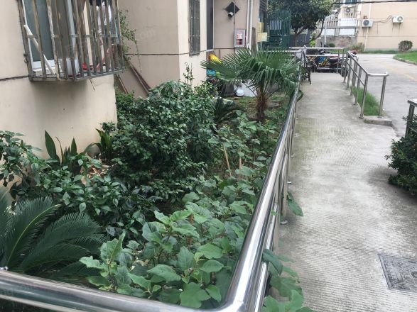 凌兆七村实景图