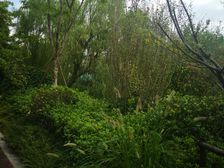 叠加别墅,电梯房,主卧朝南,环境优美