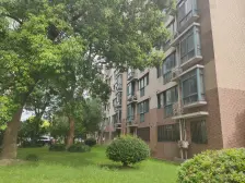 金桥·巨峰家苑·3室·1厅