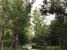 钥匙房!瑞虹双S湾河景大横厅南北通,价好谈速约来看