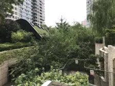 新上 瑞虹 五期 高区 两房!人车分流,双会所!