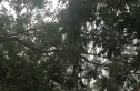 优筑实景图