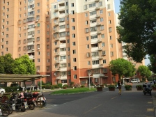 新上海尚一房,精装全明户型,业主诚售,采光视野好,动迁个税